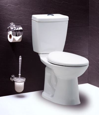 Bồn cầu hai khối Caesar CT1325