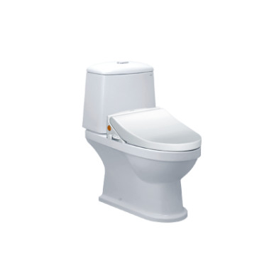 Bàn Cầu Nắp Rửa Cơ CAESAR CD1530/TAF050