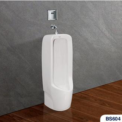 Tiểu nam Viglacera BS604