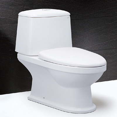 Bồn cầu hai khối Caesar CD1530