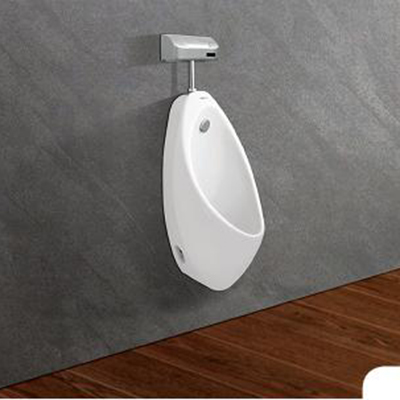 Tiểu nam Viglacera T1