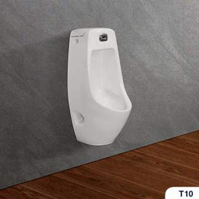 Tiểu nam Viglacera T10