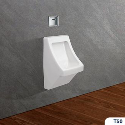 Tiểu nam Viglacera T50