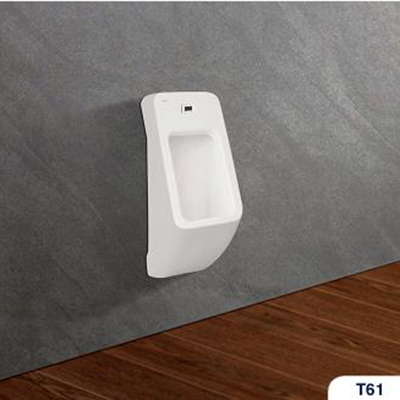 Tiểu nam Viglacera T61