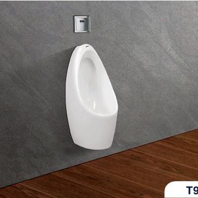 Tiểu nam Viglacera T9