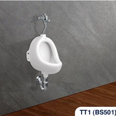 Tiểu nam Viglacera TT1