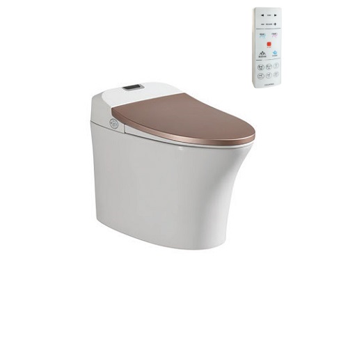 Bồn cầu cảm ứng Viglacera V93GW