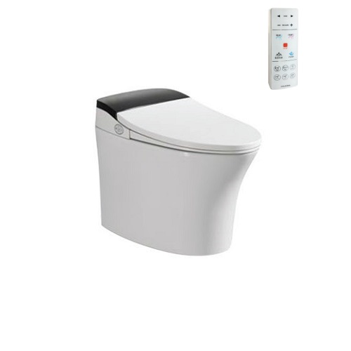 Bồn cầu cảm ứng Viglacera V93WB