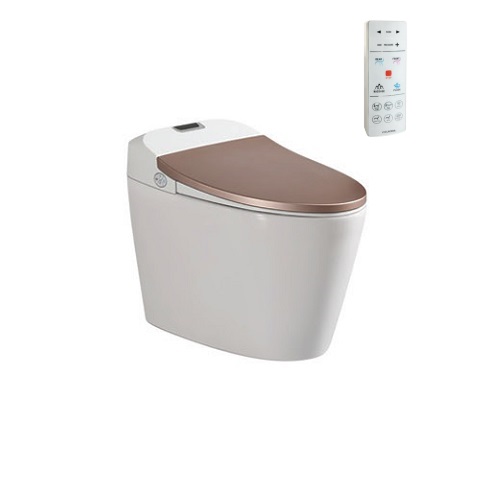 Bồn cầu cảm ứng Viglacera V94GW