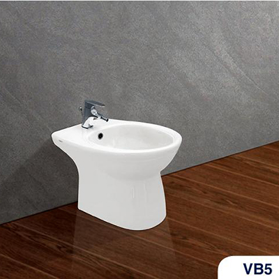 Tiểu nữ Viglacera VB5