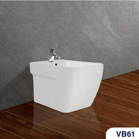 Tiểu nữ Viglacera VB61