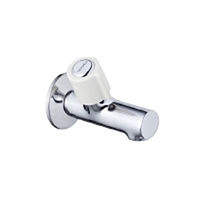 Vòi xả lạnh gắn tường Caesar W075C