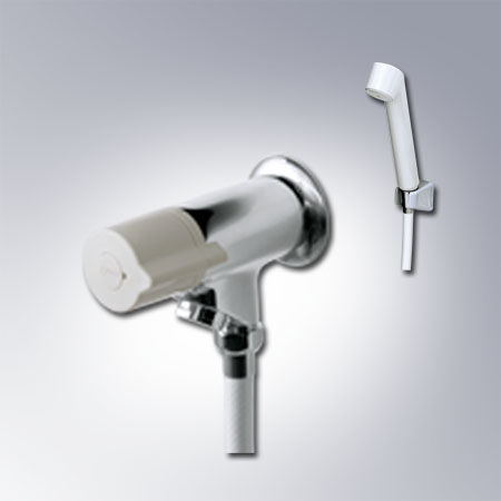 Vòi hoa sen tắm nước lạnh inax BFV-10