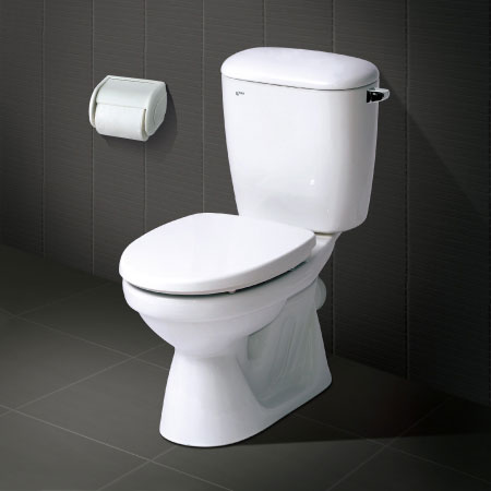 Bồn cầu hai khối inax C-333VPT